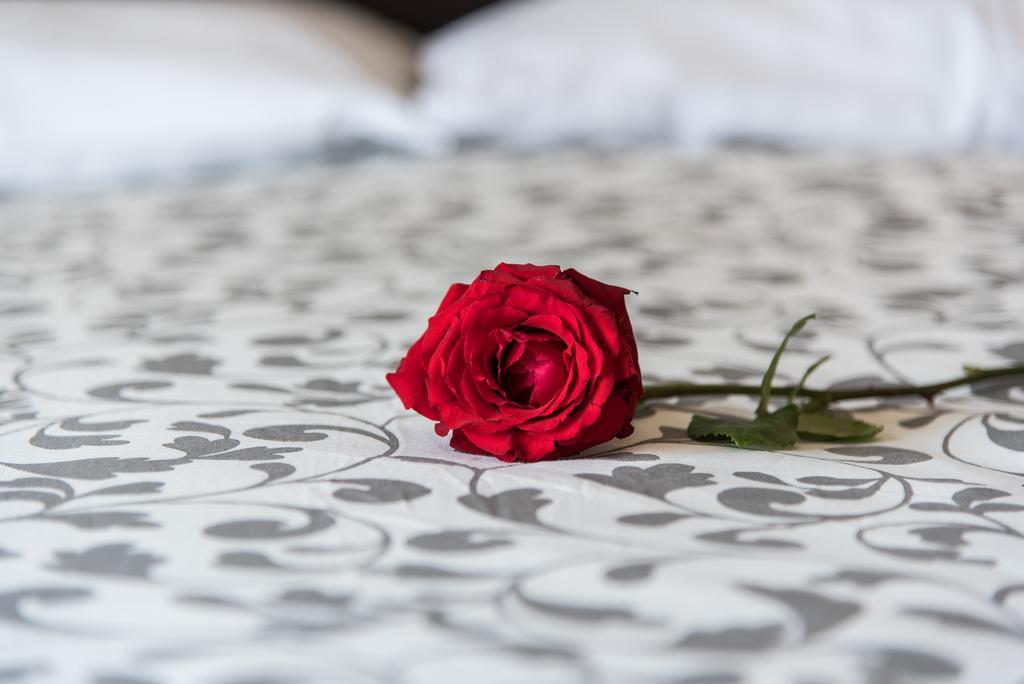 Guest House Park Valmontone Bagian luar foto
